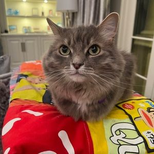 Meet your Posher, Lisa